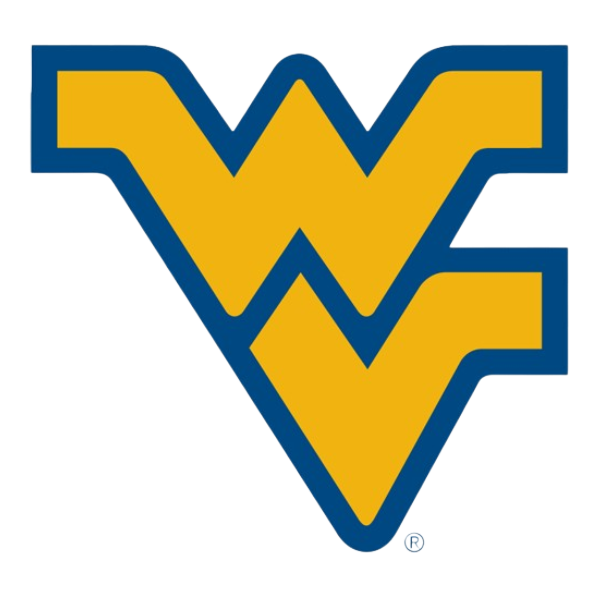 West Virginia Mountaineers