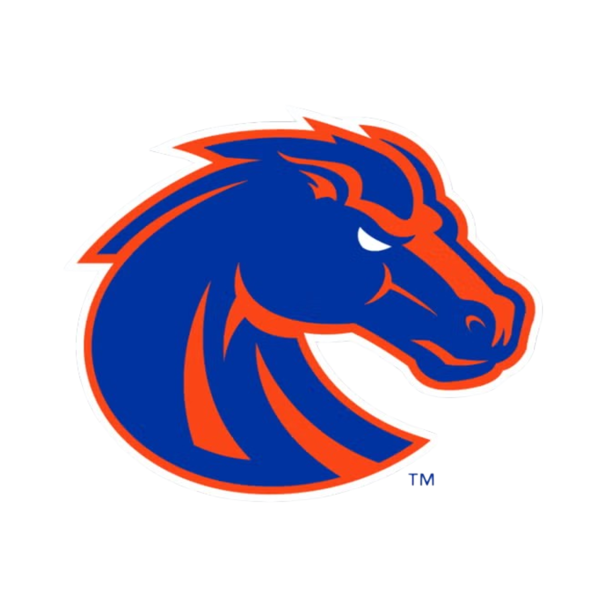 Boise State Broncos