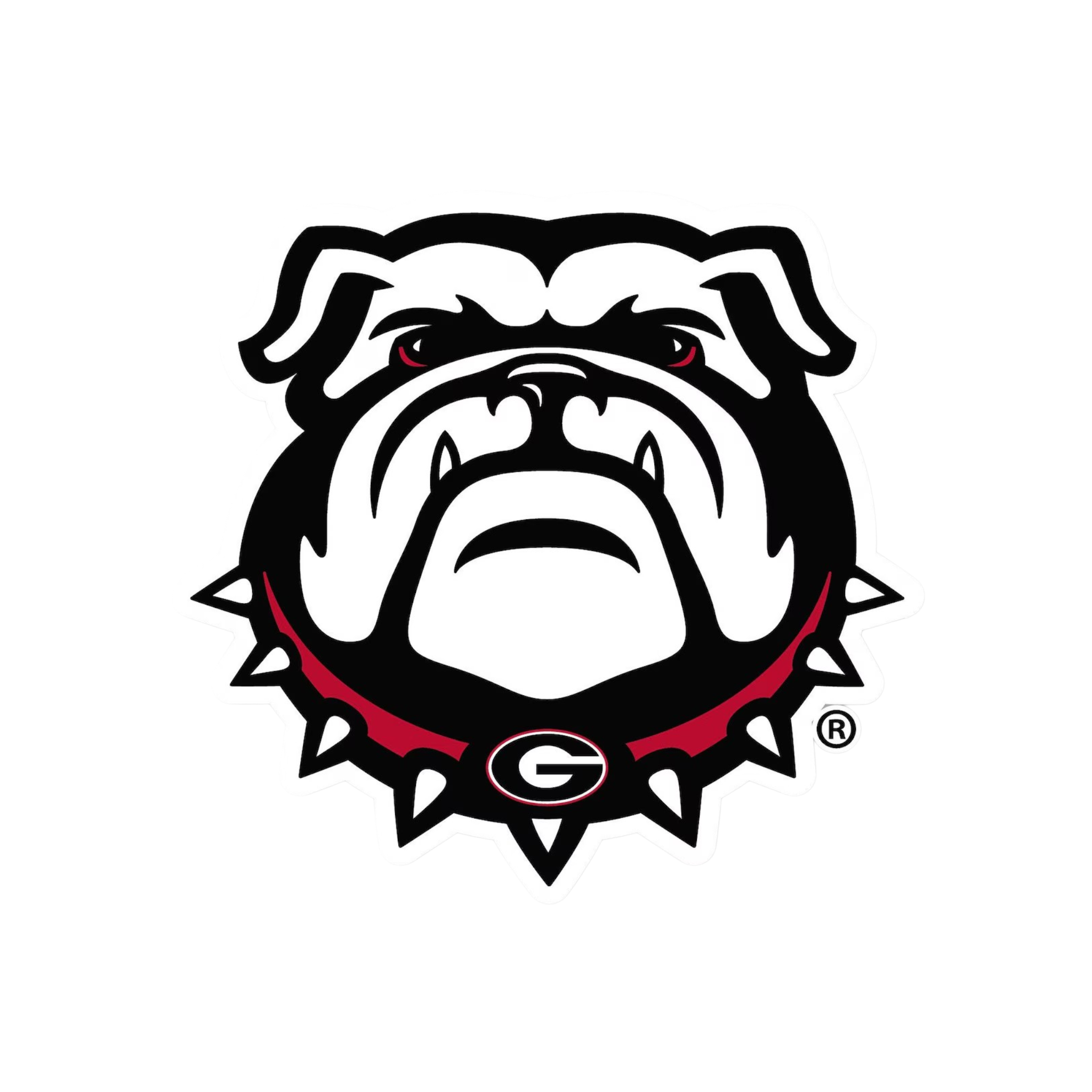 Georgia Bulldogs