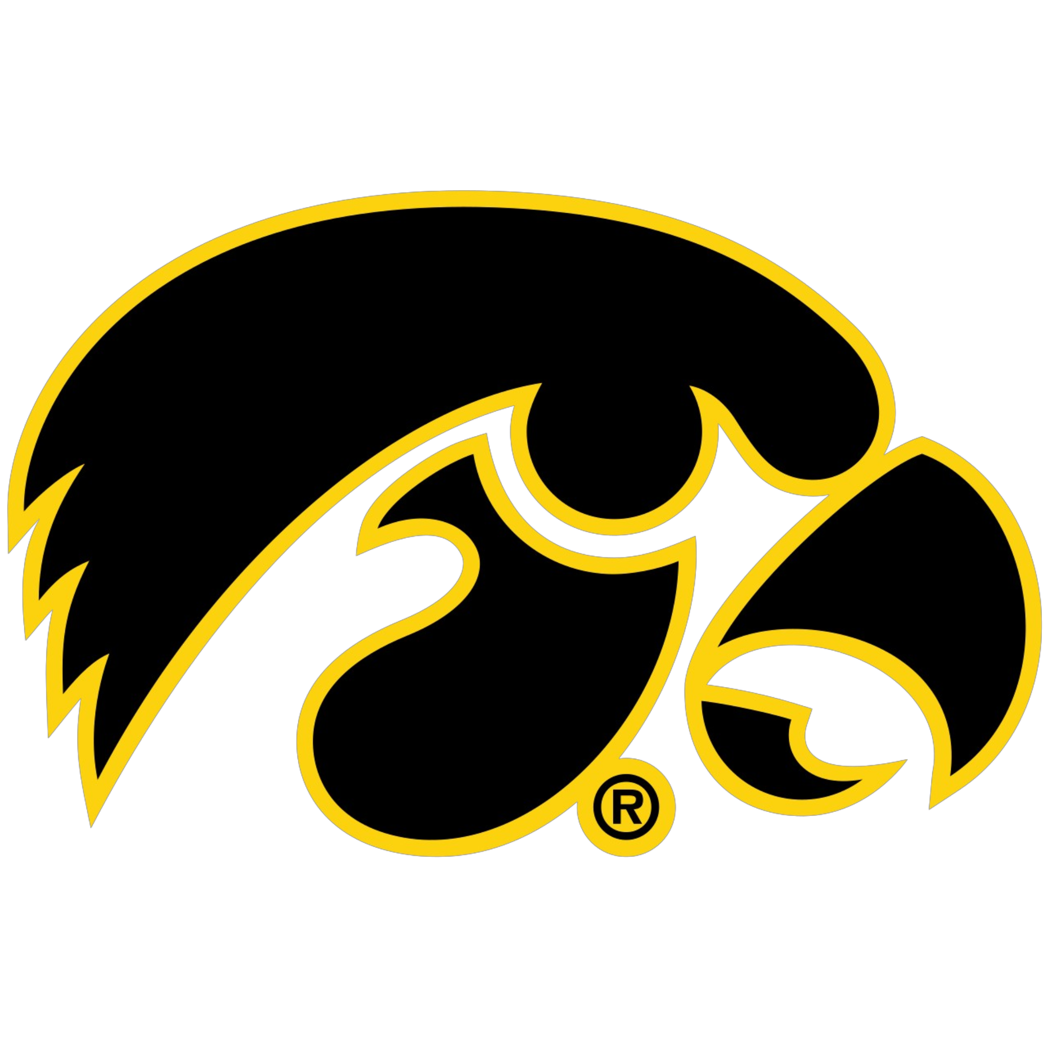 Iowa Hawkeyes