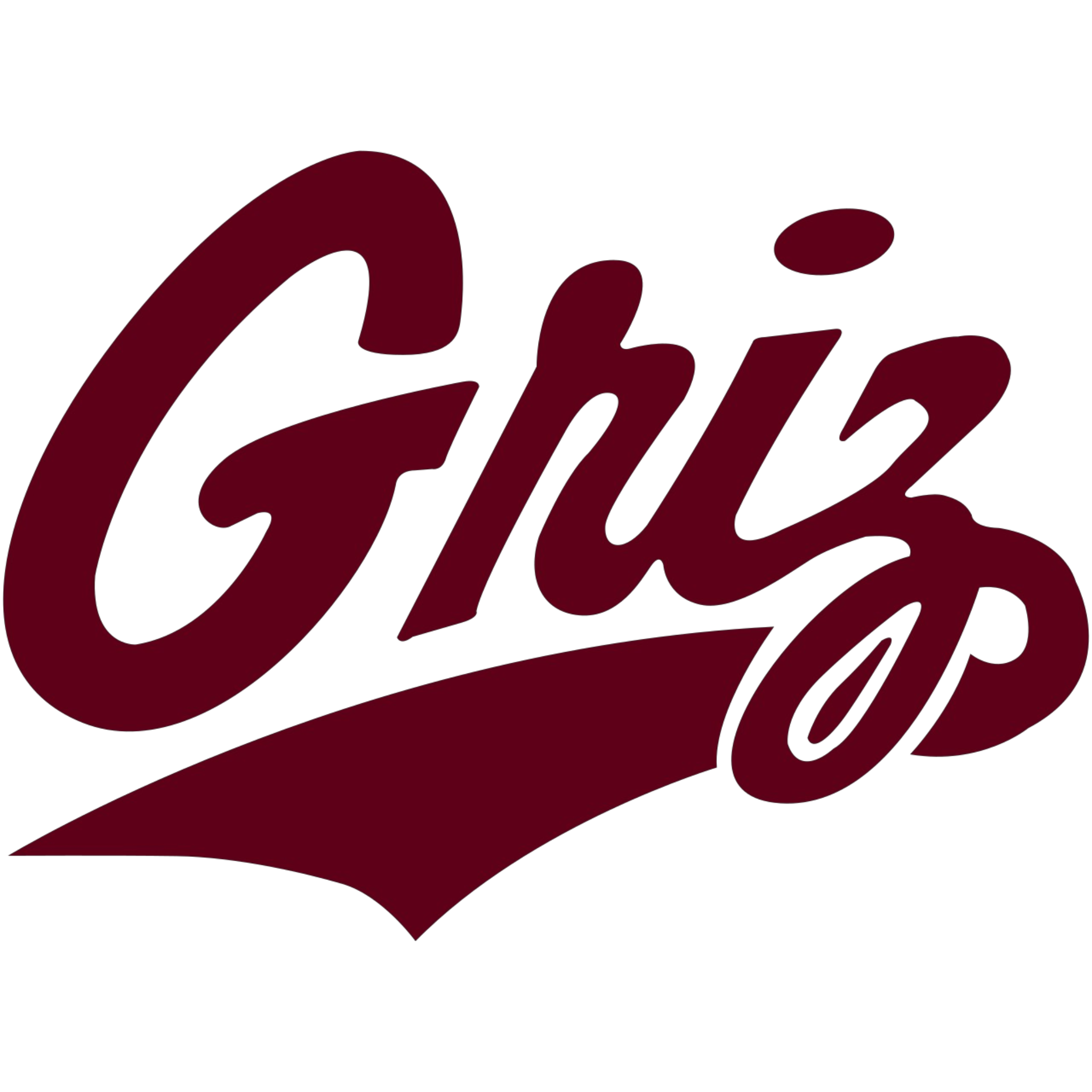 Montana Grizzlies