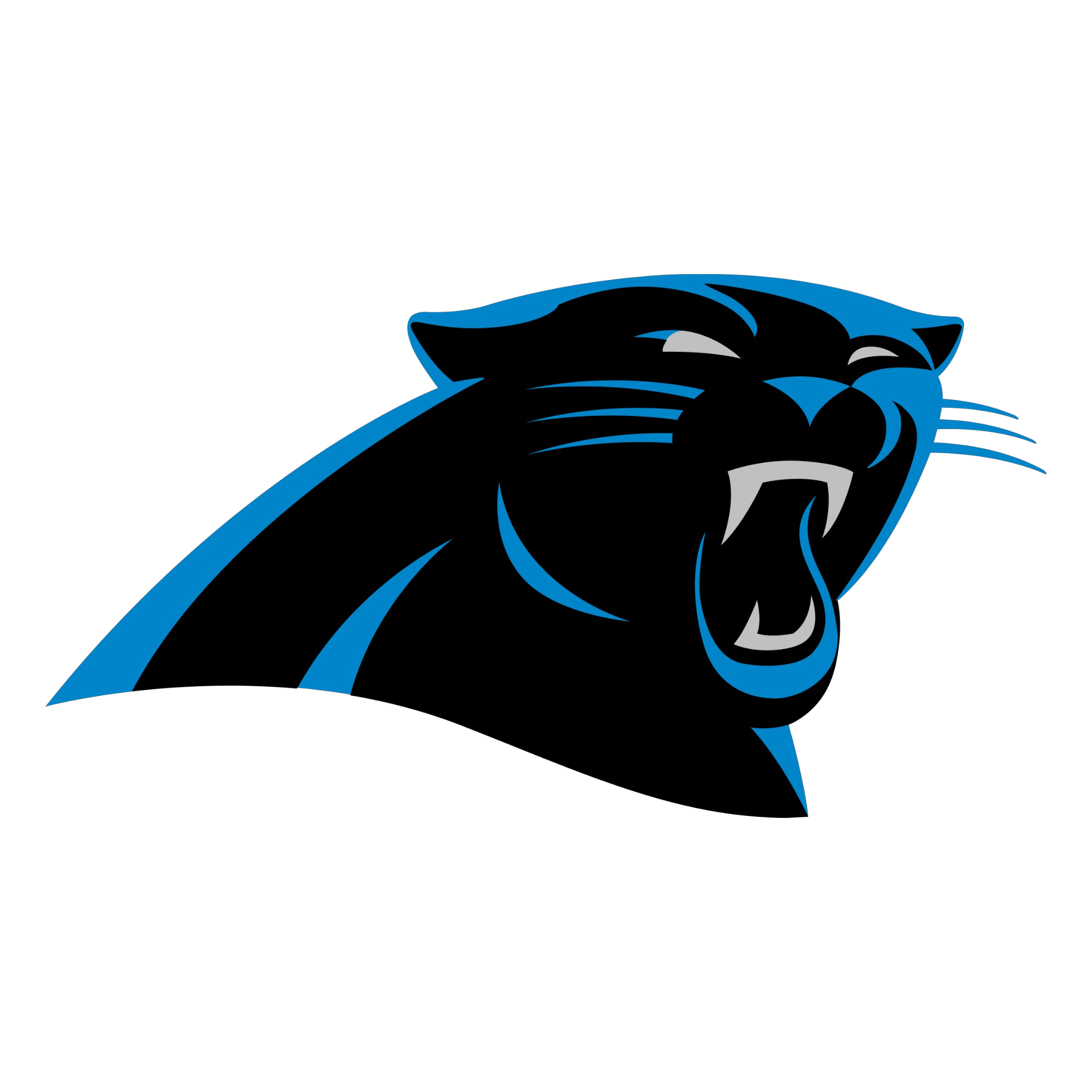 Carolina Panthers