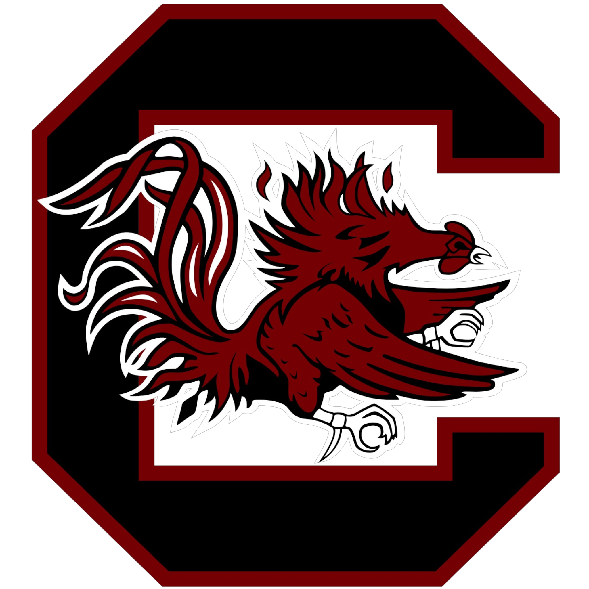 South Carolina Gamecocks