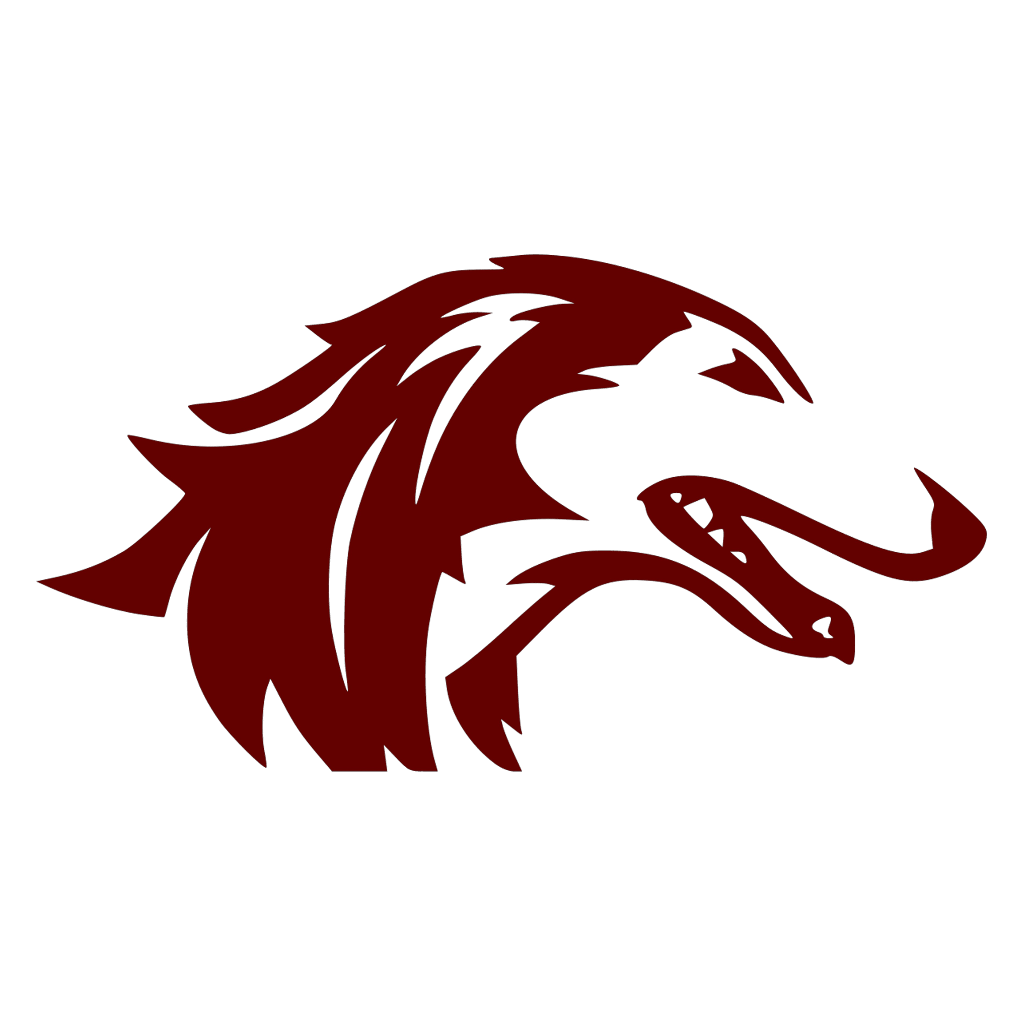 Southern Illinois Salukis