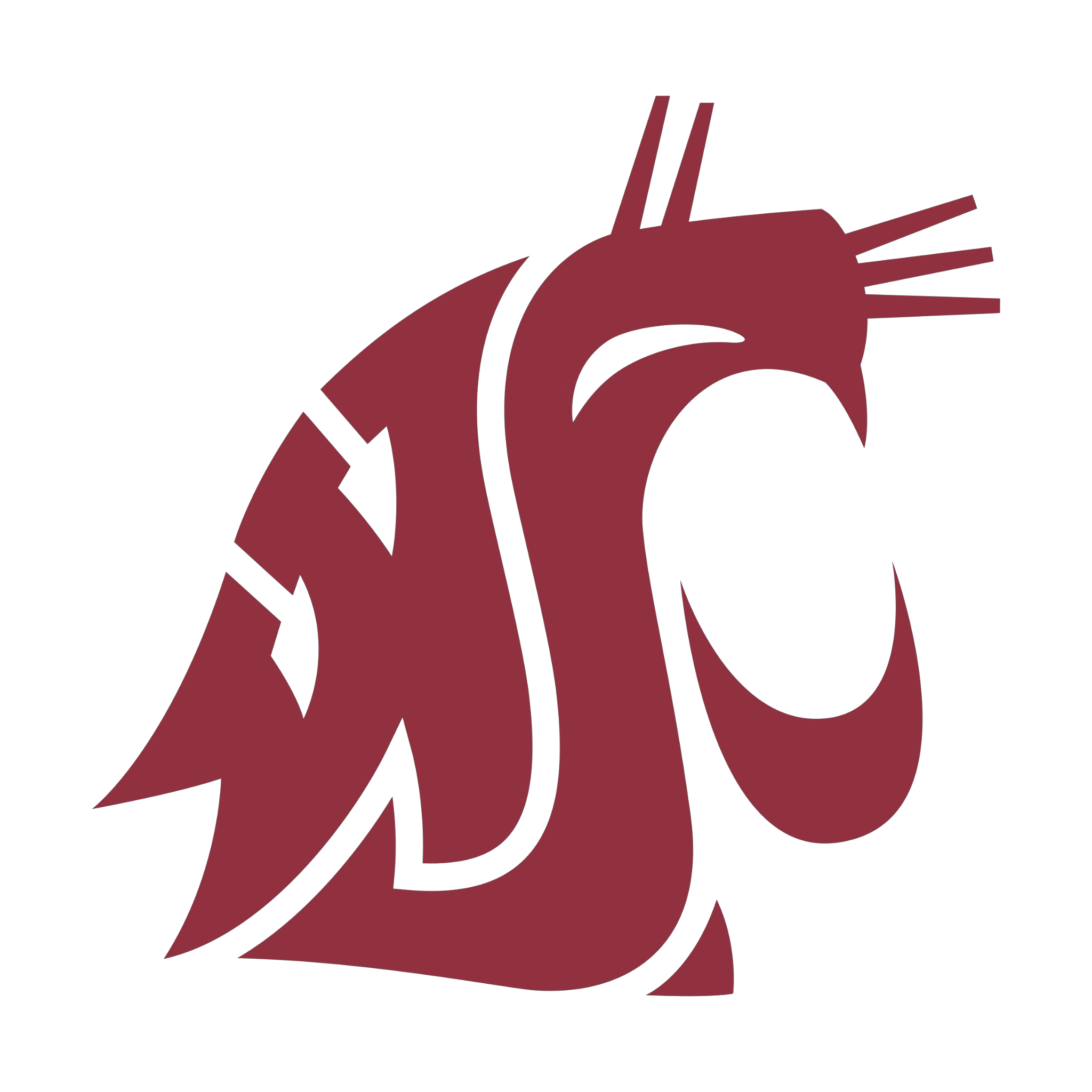 Washington State Cougars