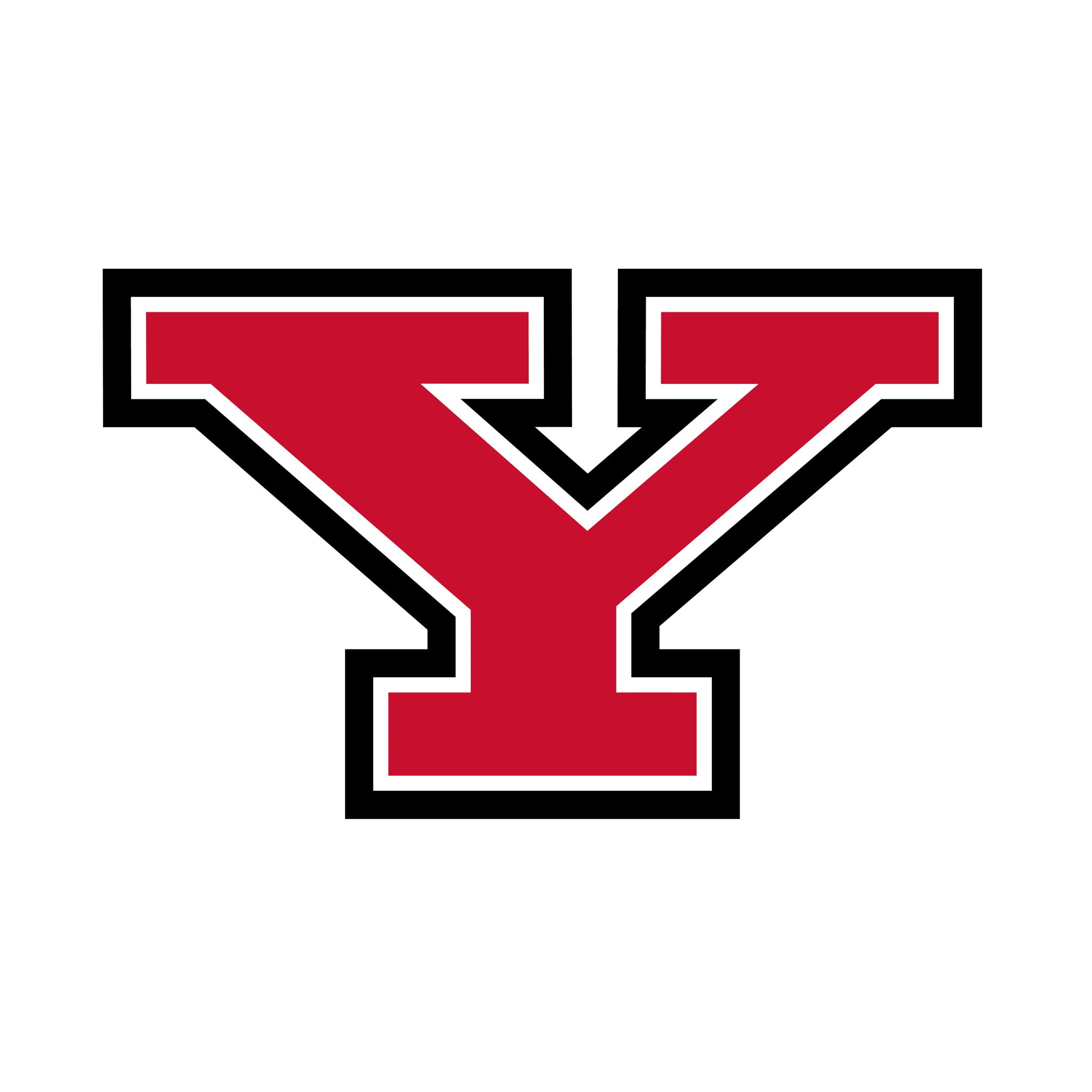 Youngstown State Penguins