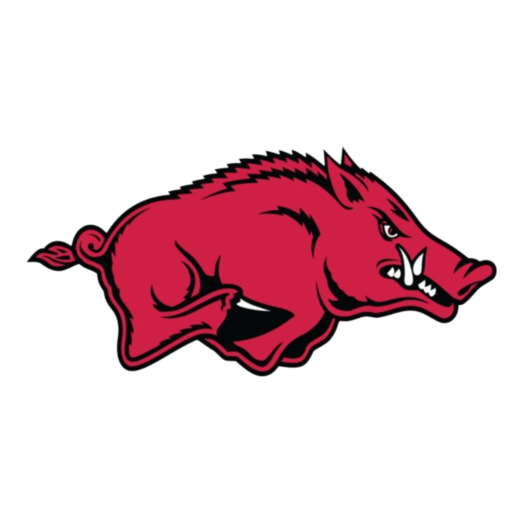 Arkansas Razorbacks