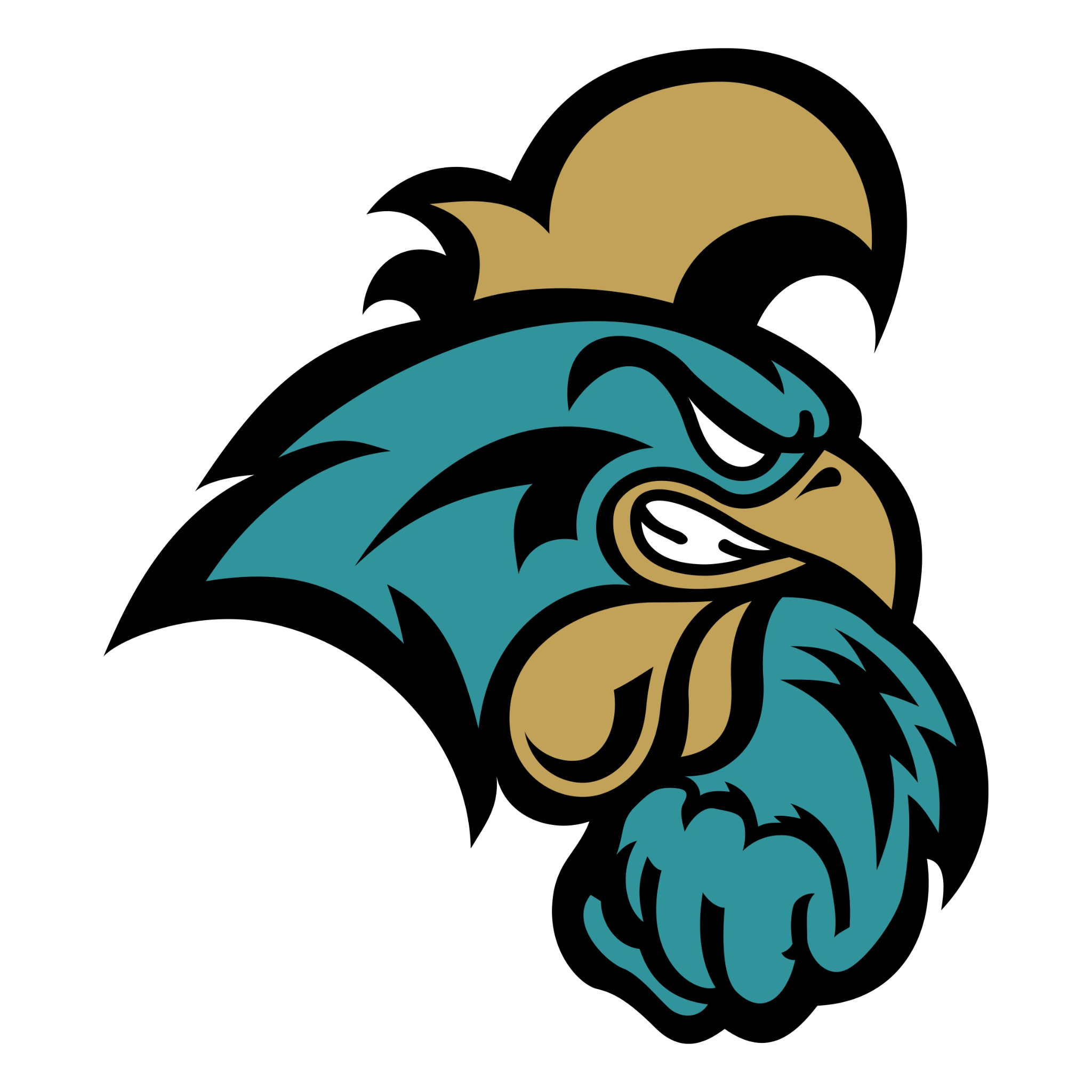 Coastal Carolina Chanticleers