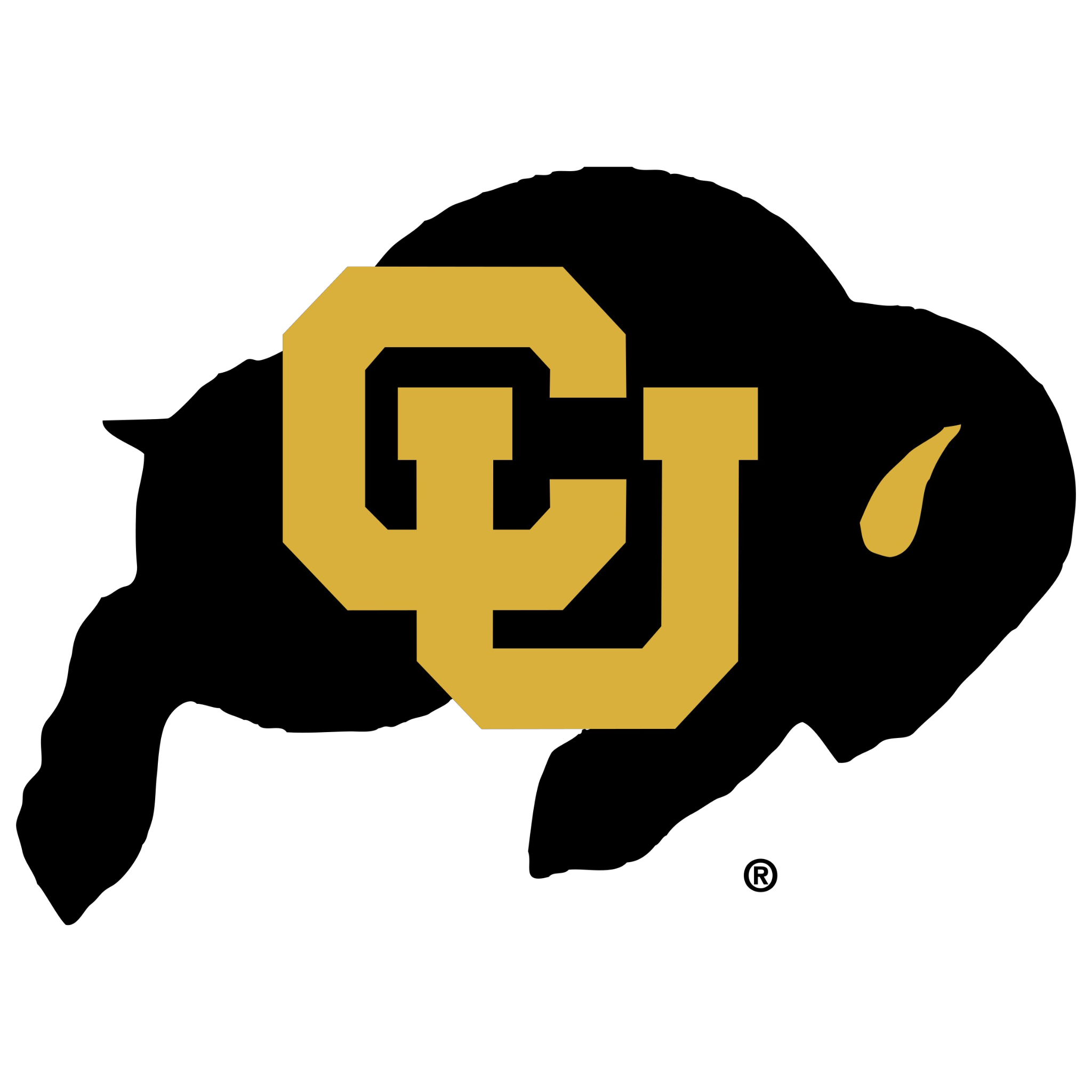 Colorado Buffaloes