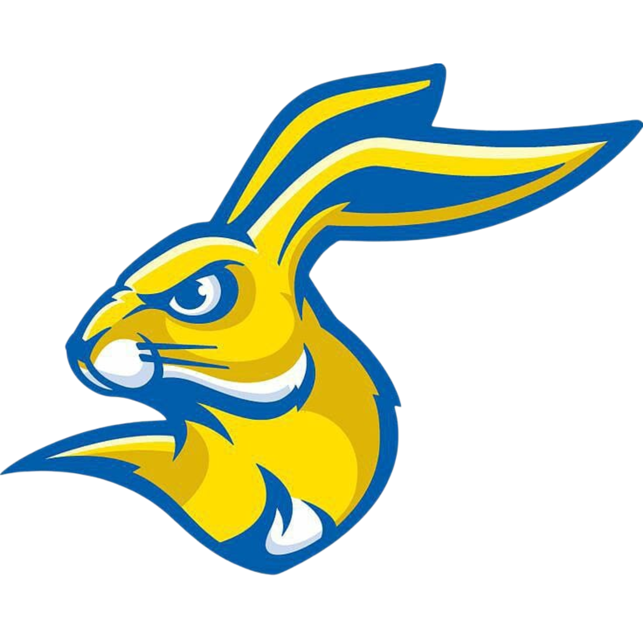 South Dakota State Jackrabbits
