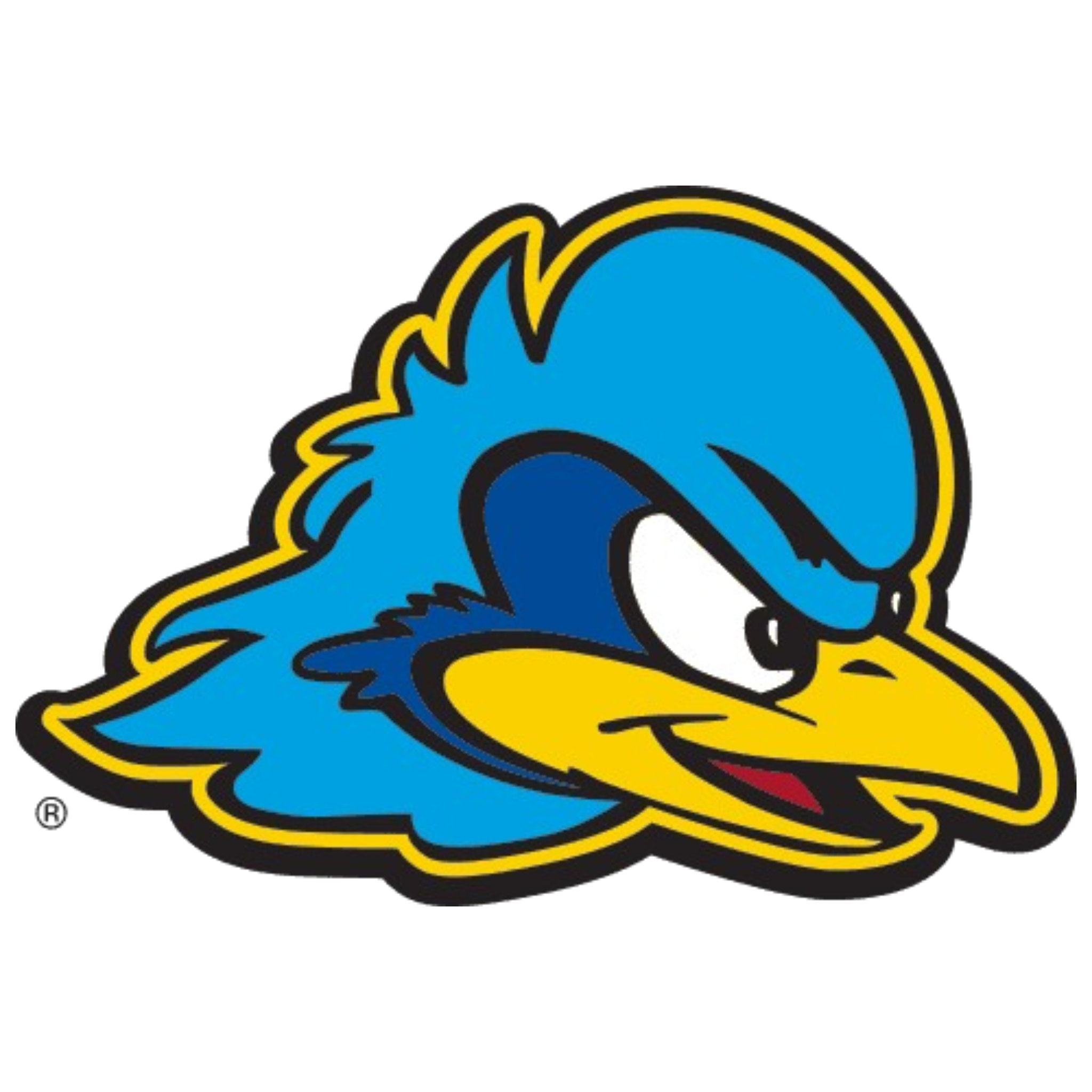Delaware Fightin' Blue Hens