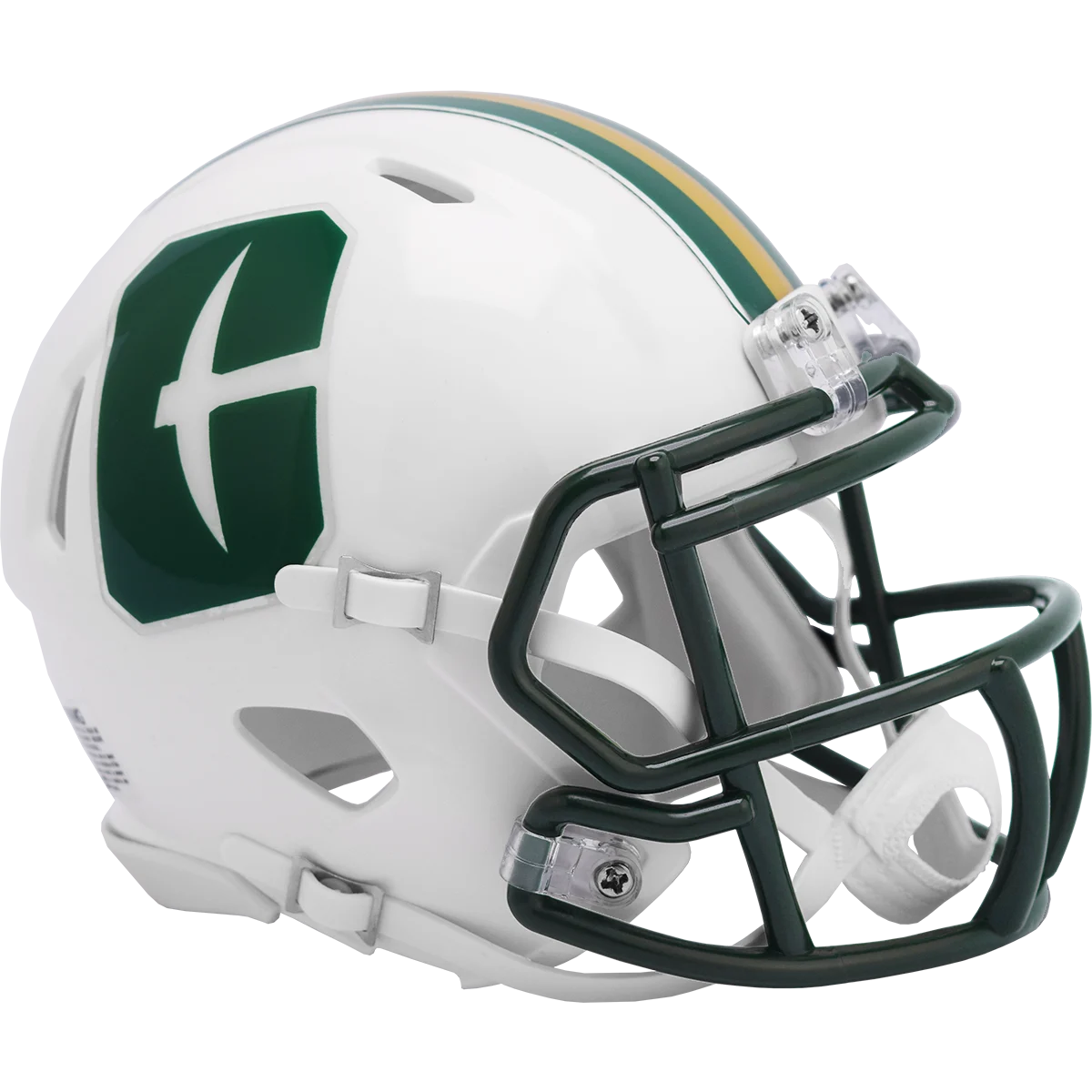 Charlotte 49ers Alternate Speed Mini