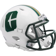 Charlotte 49ers Alternate Speed Mini
