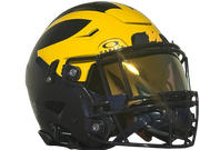 Michigan Wolverines Custom Authentic Speedflex